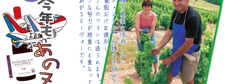�ē��摜2